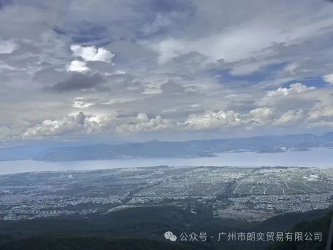 图片8.jpg
